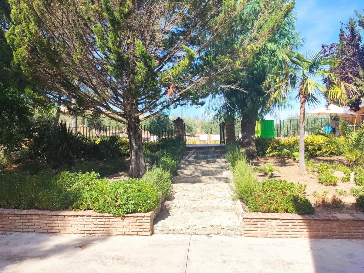 Paredejas Del Rey Priego De Cordoba Bagian luar foto
