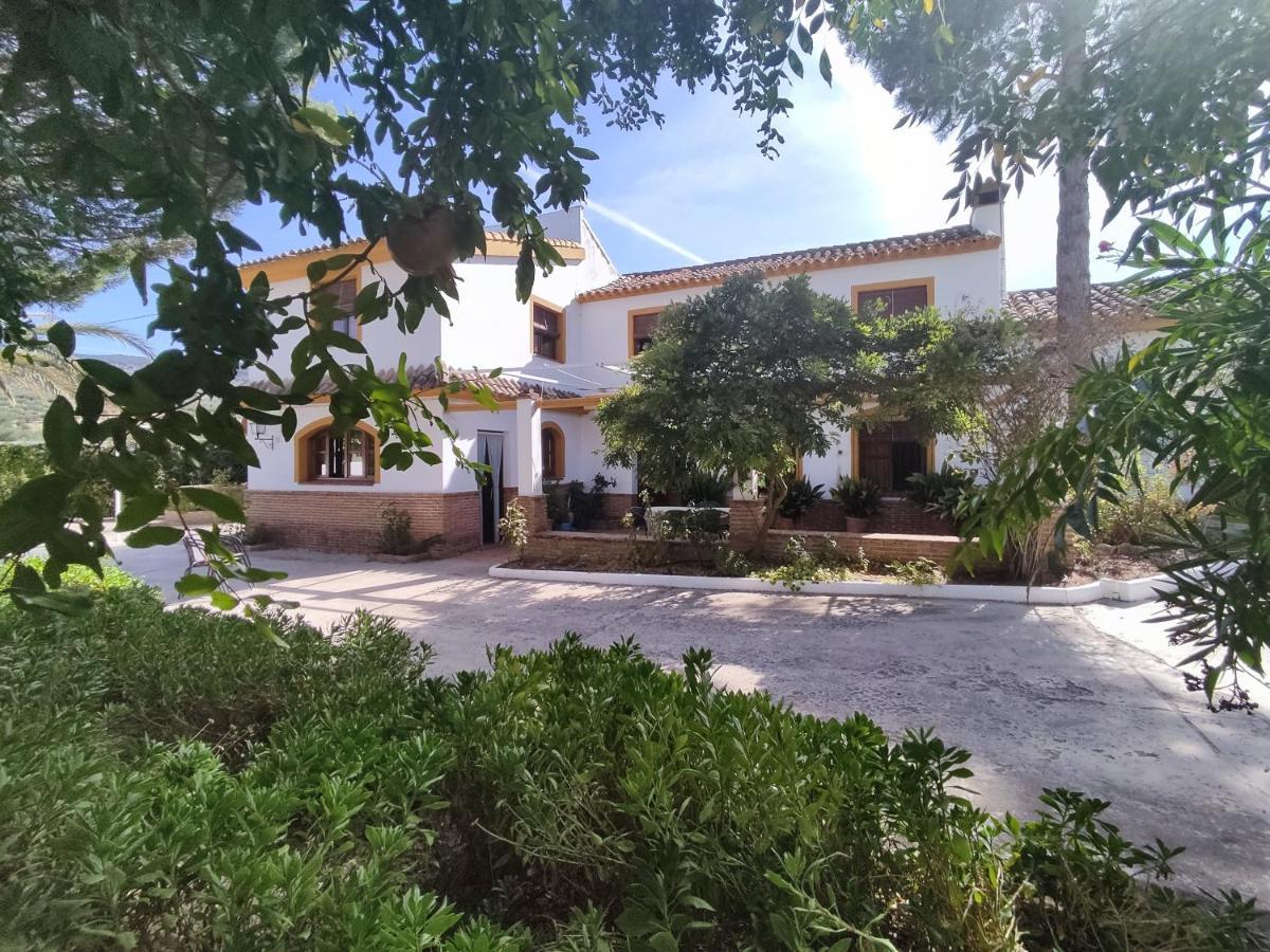 Paredejas Del Rey Priego De Cordoba Bagian luar foto