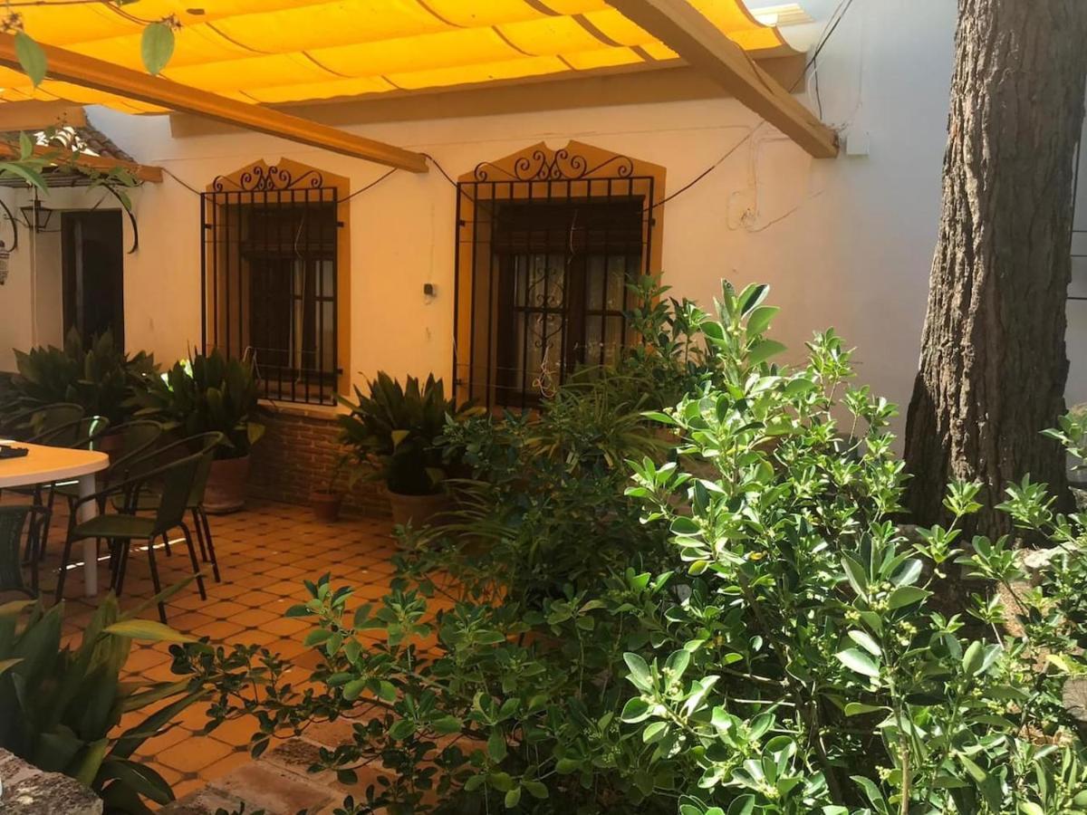 Paredejas Del Rey Priego De Cordoba Bagian luar foto