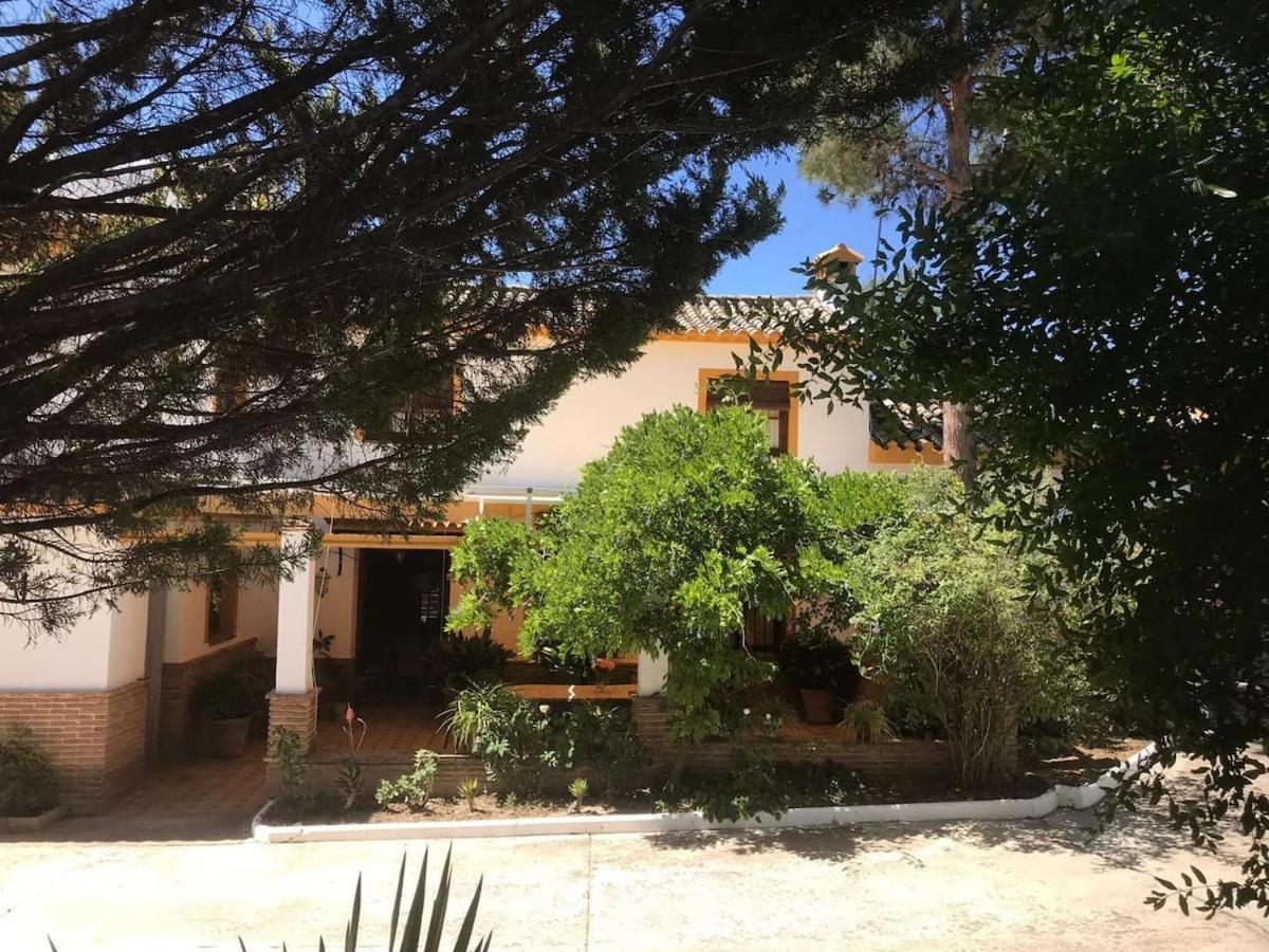 Paredejas Del Rey Priego De Cordoba Bagian luar foto