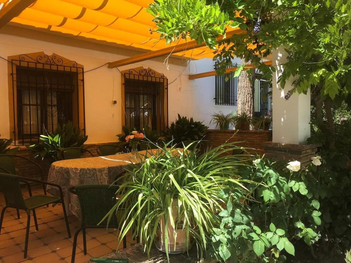 Paredejas Del Rey Priego De Cordoba Bagian luar foto
